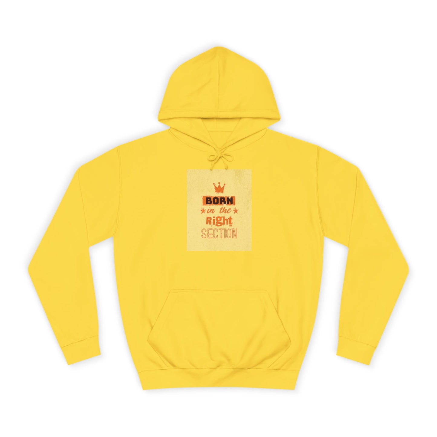 Unisex Hoodie, Funny Hoodie, Best Gift, Style, Cozy Apparel, Present, Trendy Hoodie