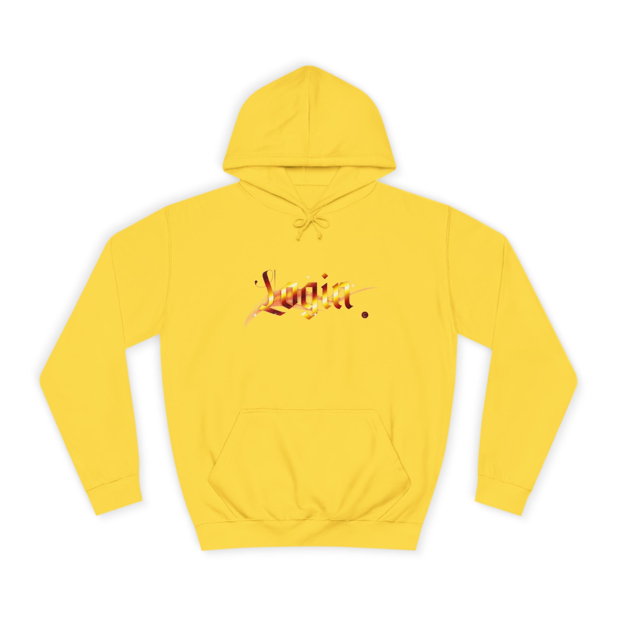 Aesthetic 'Login' Unisex Hoodie, Cozy Trendy Wear, Gift for Any One, Warm Casual Style, Trendy Hoodie